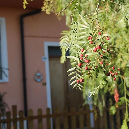 Pepe Rosa Acomodação com café da manhã Termoli Exterior foto
