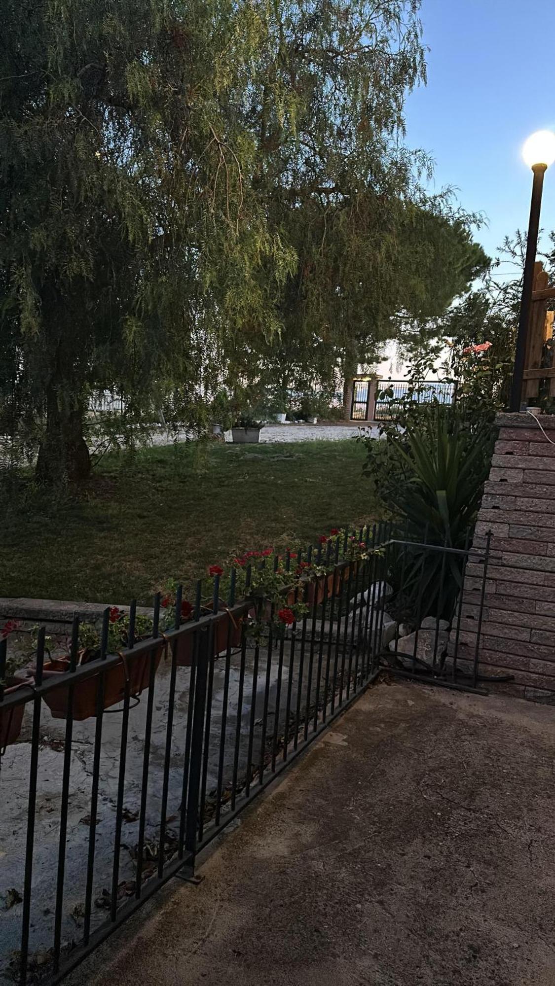 Pepe Rosa Acomodação com café da manhã Termoli Exterior foto
