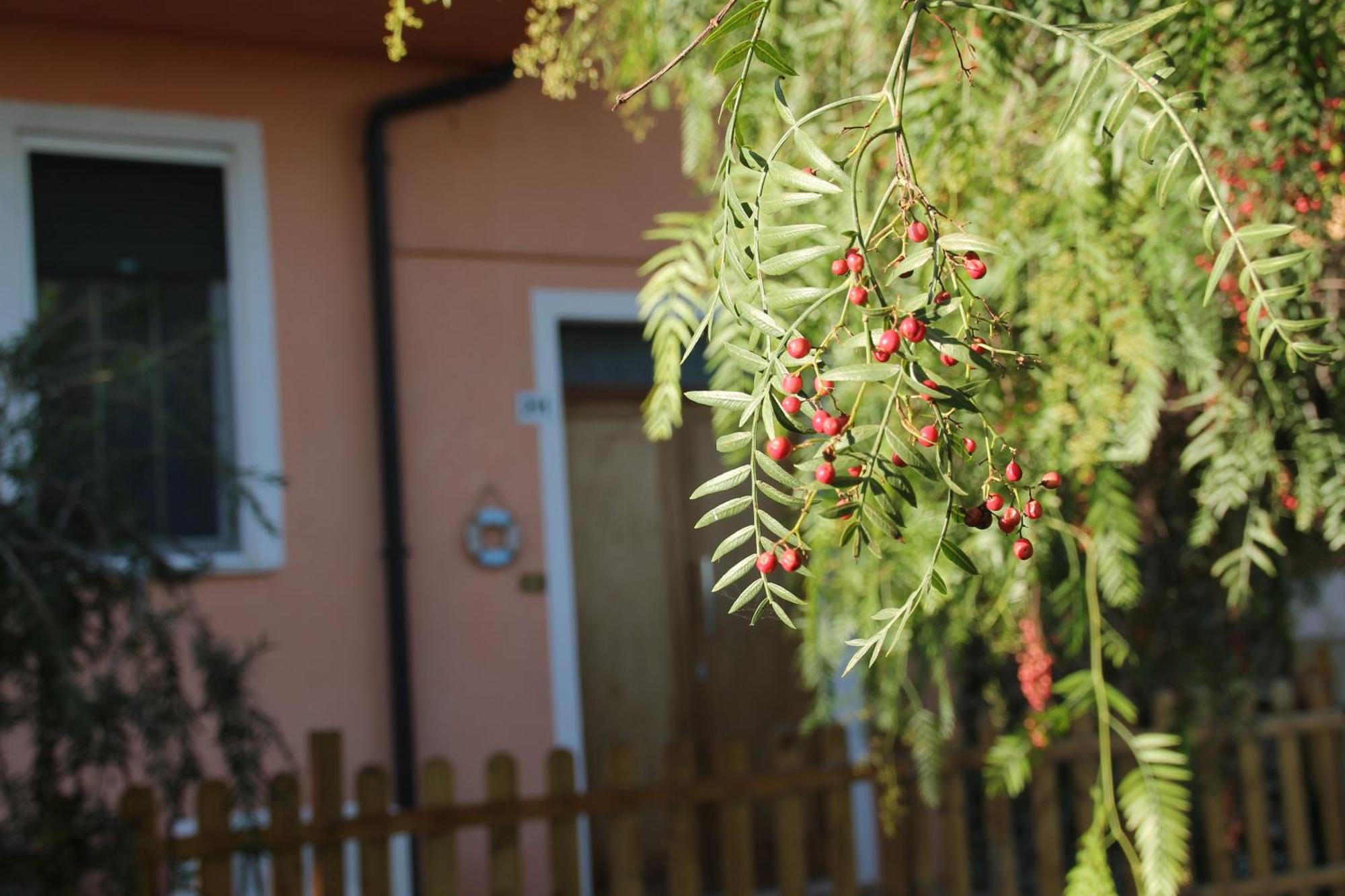 Pepe Rosa Acomodação com café da manhã Termoli Exterior foto